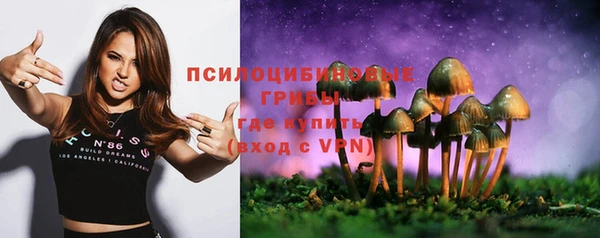 круглые Алексеевка