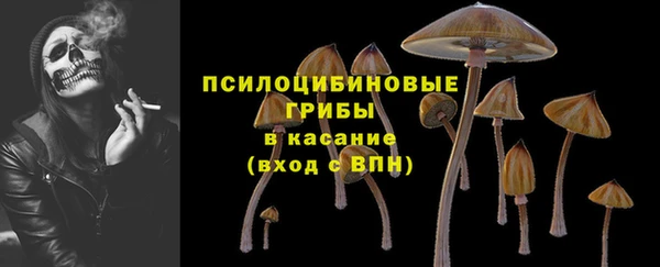 круглые Алексеевка